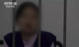 厦门娱乐爆料事件始末,真相与争议的漩涡