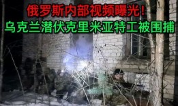 最近俄国爆料视频大全集