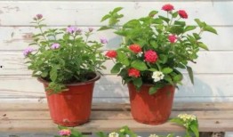 燕郊画室爆料视频最新